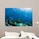 Diver Swimming with School Wall Decal