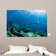 Diver Swimming with School Wall Decal