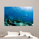 Diver Swimming with School Wall Decal