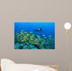 Diver with Video Camera Wall Decal