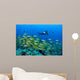 Diver with Video Camera Wall Decal