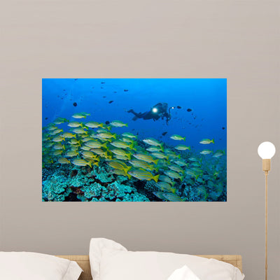 Diver with Video Camera Wall Decal shown on a wall