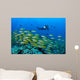 Diver with Video Camera Wall Decal