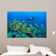 Diver with Video Camera Wall Decal