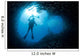 Diver Opening School Black Wall Decal