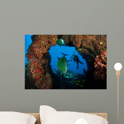 Bluefin Trevally and Diver Wall Decal shown on a wall