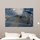 Close-up Blowhole Humpback Whale Wall Decal