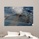 Close-up Blowhole Humpback Whale Wall Decal