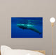 Large Sperm Whale Swimming Wall Decal