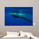 Large Sperm Whale Swimming Wall Decal