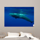 Large Sperm Whale Swimming Wall Decal