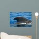 Look Dorsal Fin Adult Wall Decal
