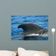 Look Dorsal Fin Adult Wall Decal