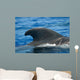 Look Dorsal Fin Adult Wall Decal