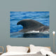 Look Dorsal Fin Adult Wall Decal