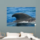 Look Dorsal Fin Adult Wall Decal