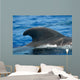 Look Dorsal Fin Adult Wall Decal