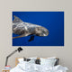 Pygmy Killer Whale Hawaii Wall Decal