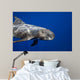 Pygmy Killer Whale Hawaii Wall Decal
