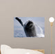 Breaching Humpback Whale Megaptera Wall Decal Design 3