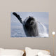 Breaching Humpback Whale Megaptera Wall Decal Design 3
