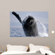 Breaching Humpback Whale Megaptera Wall Decal Design 3