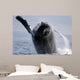 Breaching Humpback Whale Megaptera Wall Decal Design 3