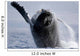 Breaching Humpback Whale Megaptera Wall Decal Design 3