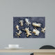 Whale Lice Found Gray Wall Decal