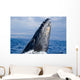 Breaching Humpback Whale Megaptera Wall Decal Design 2