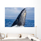 Breaching Humpback Whale Megaptera Wall Decal Design 2