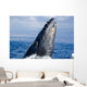 Breaching Humpback Whale Megaptera Wall Decal Design 2