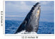 Breaching Humpback Whale Megaptera Wall Decal Design 2