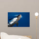 False Killer Whale Exhales Wall Decal