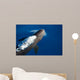 False Killer Whale Exhales Wall Decal