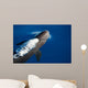 False Killer Whale Exhales Wall Decal