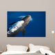 False Killer Whale Exhales Wall Decal
