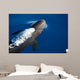 False Killer Whale Exhales Wall Decal