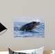 Breaching Humpback Whale Megaptera Wall Decal Design 1