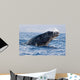 Breaching Humpback Whale Megaptera Wall Decal Design 1