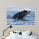 Breaching Humpback Whale Megaptera Wall Decal Design 1