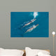 Aerial Two Adult Sperm Wall Decal