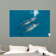 Aerial Two Adult Sperm Wall Decal