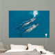 Aerial Two Adult Sperm Wall Decal
