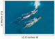 Aerial Two Adult Sperm Wall Decal