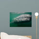 Underwater Photo Calif Gray Wall Decal Design 2