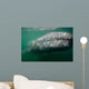 Underwater Photo Calif Gray Wall Decal Design 2