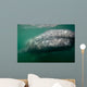 Underwater Photo Calif Gray Wall Decal Design 2