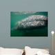 Underwater Photo Calif Gray Wall Decal Design 2