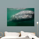 Underwater Photo Calif Gray Wall Decal Design 2